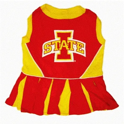 Pets First Iowa State Cheerleader Dog Dress - X-Small