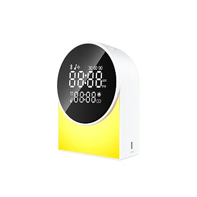 Priority Products 51811146W Rechargeable Digital Fm Radio Alarm Clock With Bluet