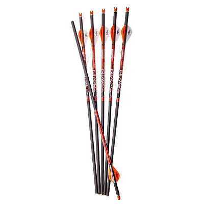 Ravin R500 Series Arrow .003 (6-Pack)