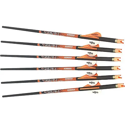 Ravin Arrows 400Gr. 6Pk .003
