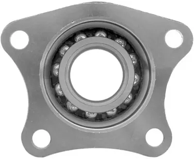 RAYBESTOS 712009 Bearing Module