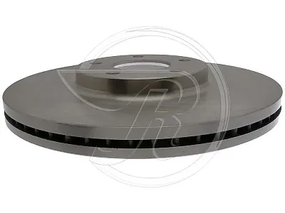 RAYBESTOS 980156R Brake Rotor