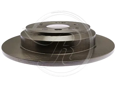 RAYBESTOS 982041R Brake Rotor