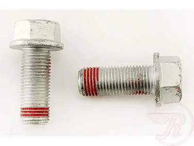 RAYBESTOS H17051 Caliper Bolts
