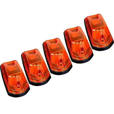 RECON ACCESS 264342AM Cab Lights