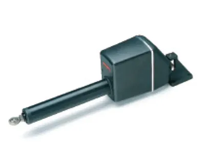 RAYMARINE M81134 Long Linear Drive Type 2 24V