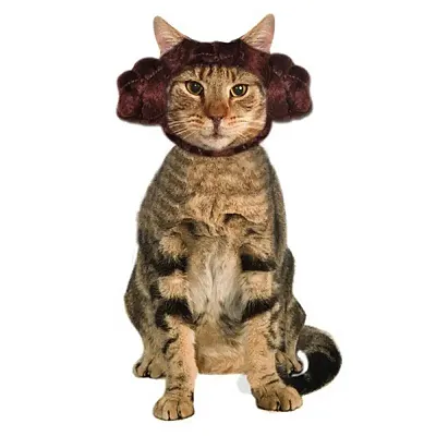 Rubie's Costume Co Star Wars Princess Leia Cat Headpiece
