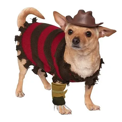 Rubie's Costume Co Freddy Krueger Pet Costume - Medium