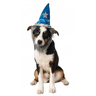 Rubie's Costume Co Wizard Pet Hat With Beard - M/L