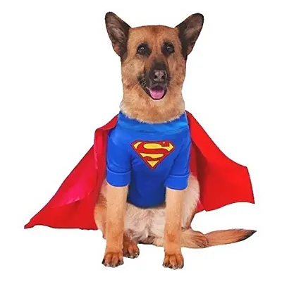 Rubie's Costume Co Big Dogs Superman Pet Costume - XXX-Large