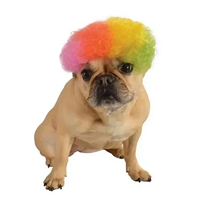Rubie's Costume Co Rainbow Afro Pet Wig - S/M