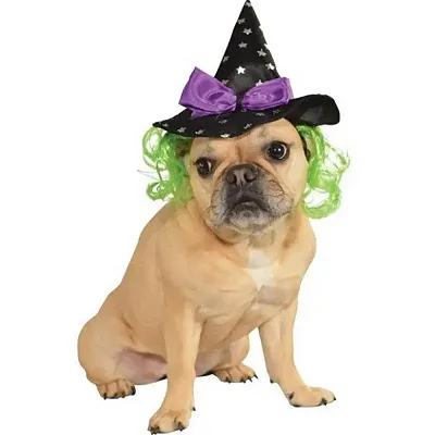 Rubie's Costume Co Witch Pet Hat With Hair - S/M