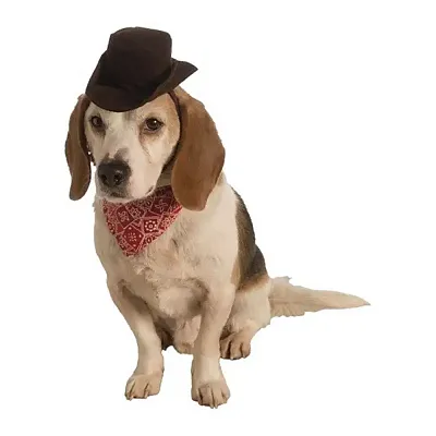 Rubie's Costume Co Western Hat & Bandana Set - M/L