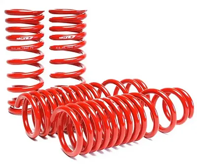 SKUNK 2 519051640 Race Low Spr Civic/Intgra