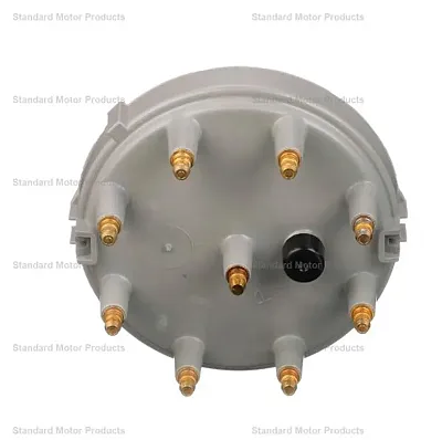 STANDARD IGN FD168 Cap