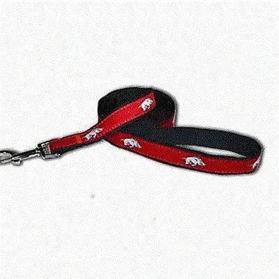SportyK9 Arkansas Dog Leash Alternate Style - Small