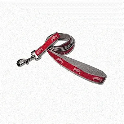 SportyK9 Ohio State Dog Leash Alternate Style - M/L