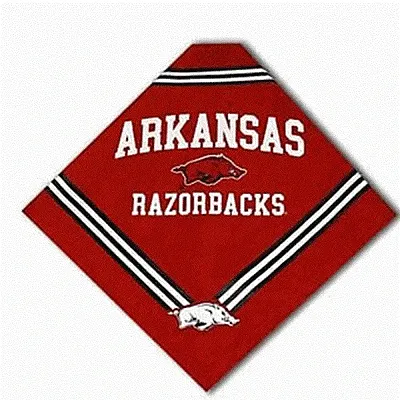 SportyK9 Arkansas Dog Bandana - Small