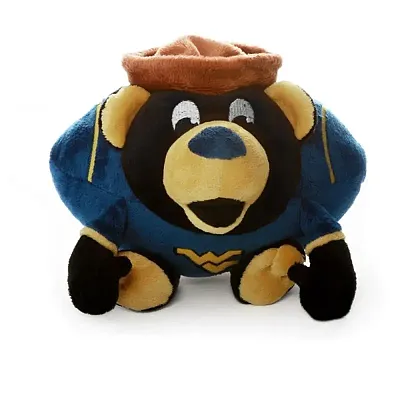 Simon Sez West Virginia Mountaineers Orbiez