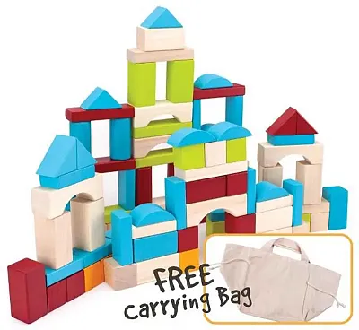 100 Piece Wooden Block Set with Carrying Bag TCDG-002