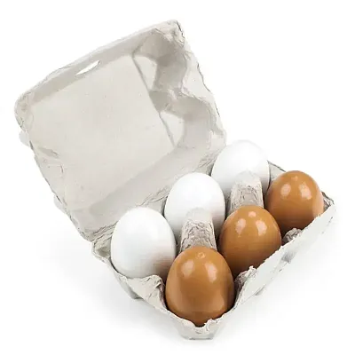 Eggcellent Eggs with Real Carton TEAT-001