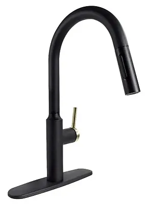 VALTERRA LLC PF231780 Premium Slimline Faucet Black