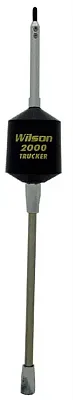 3500 Watts 10&quot; Shaft 49&quot; Whip ( Black ) W2000T-10B