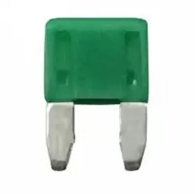 WIRTHCO 241307 Atm Fuse 30A-Green-Package Of 50
