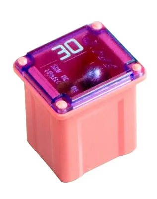 WIRTHCO 244307 Fmx Lp Fuse-30 Amp-Package Of 10
