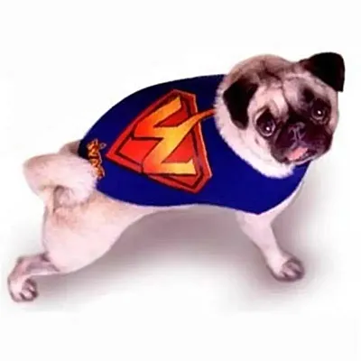 WAG Dogstuff WAG Hero Dog Jacket - Small