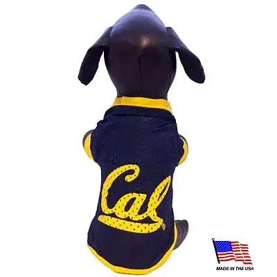 All Star Dogs California Berkeley Athletic Mesh Pet Jersey - Small
