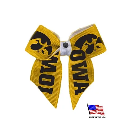 All Star Dogs Iowa Hawkeyes Pet Hair Bow