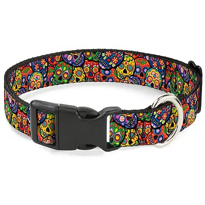 Buckle-Down Buckle-Down Thaneeya Colorful Calaveras Pet Collar - Medium