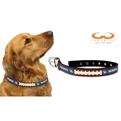 GameWear Kentucky Wildcats Leather Football Collar - Toy