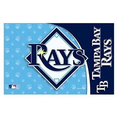 Hunter Tampa Bay Rays Pet Mat