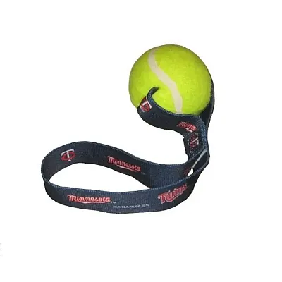 Hunter Minnesota Twins Tennis Ball Toss Toy