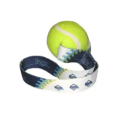 Hunter Tampa Bay Rays Tennis Ball Toss Toy