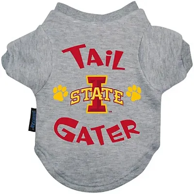 Hunter Iowa State Cyclones Tail Gater Tee Shirt - Medium