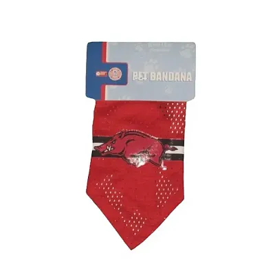 Hunter Arkansas Razorbacks Mesh Dog Bandana - Small