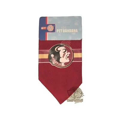 Hunter Florida State Mesh Dog Bandana - Small