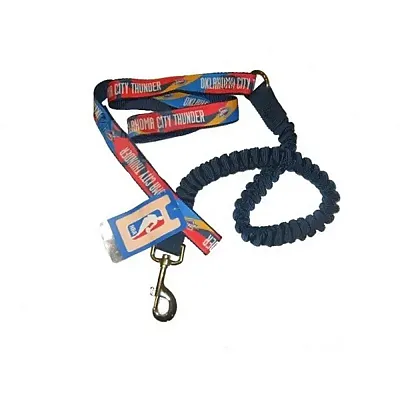 Hunter Oklahoma City Thunder Bungee Ribbon Pet Leash