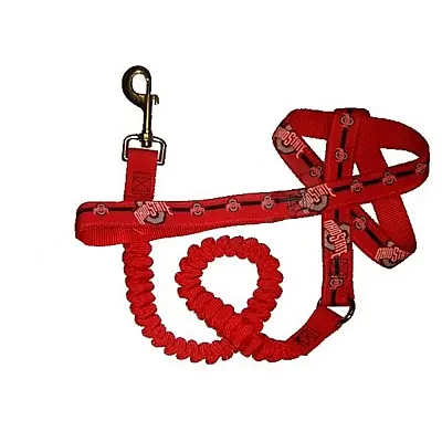 Hunter Ohio State Buckeyes Bungee Ribbon Pet Leash