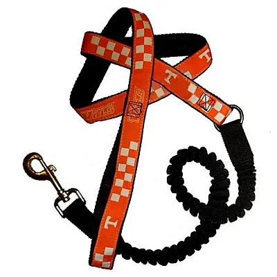 Hunter Tennessee Vols Bungee Ribbon Pet Leash