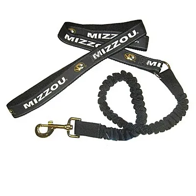 Hunter Missouri Tigers Bungee Ribbon Pet Leash