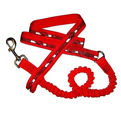Hunter Arkansas Razorbacks Bungee Ribbon Pet Leash