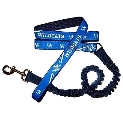 Hunter Kentucky Wildcats Bungee Ribbon Pet Leash