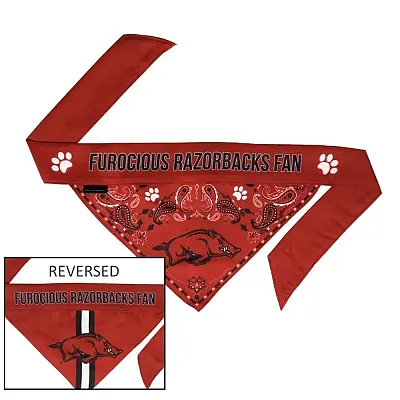 Little Earth Productions Arkansas Razorbacks Pet Reversible Paisley Bandana - M