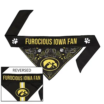Little Earth Productions Iowa Hawkeyes Pet Reversible Paisley Bandana - Small