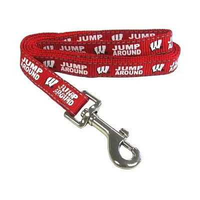 Pet Goods Manufacturing Wisconsin Badgers Pet Reflective Nylon Leash - Small
