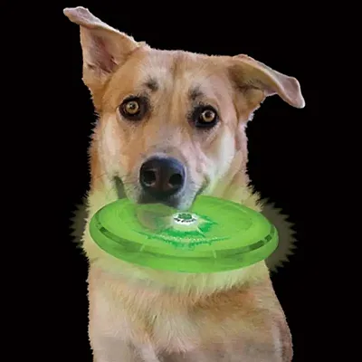 Nite Ize Nite Ize FlashFlight Dog Discuit - Red